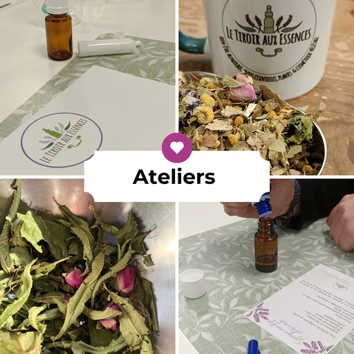 Ateliers - Groupes & Professionnels