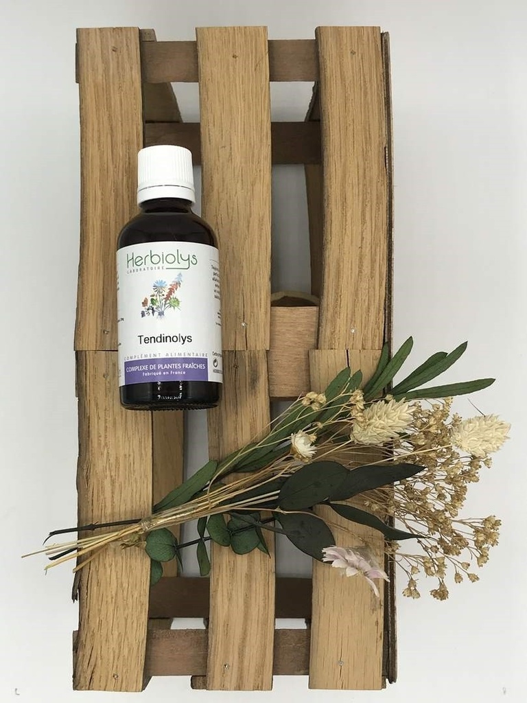 ARTICULOLYS COMPLEXE BIO 50ML - HERBIOLYS