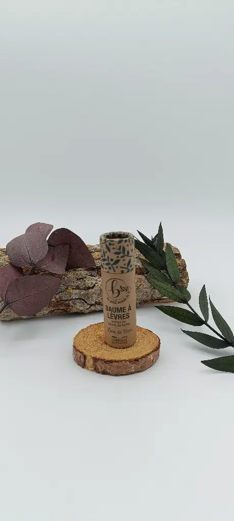 BAUME A LEVRES - KARITE - COCO - BIO - 10G - AU PETIT MONDE DE B.
