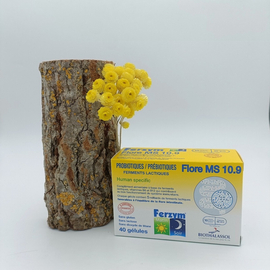 FLORE MS 10.9 - PROBIOTIIQUES/ PREBIOTIQUES - FERZYM - 40 GÉLULES - BIOTHALASSOL