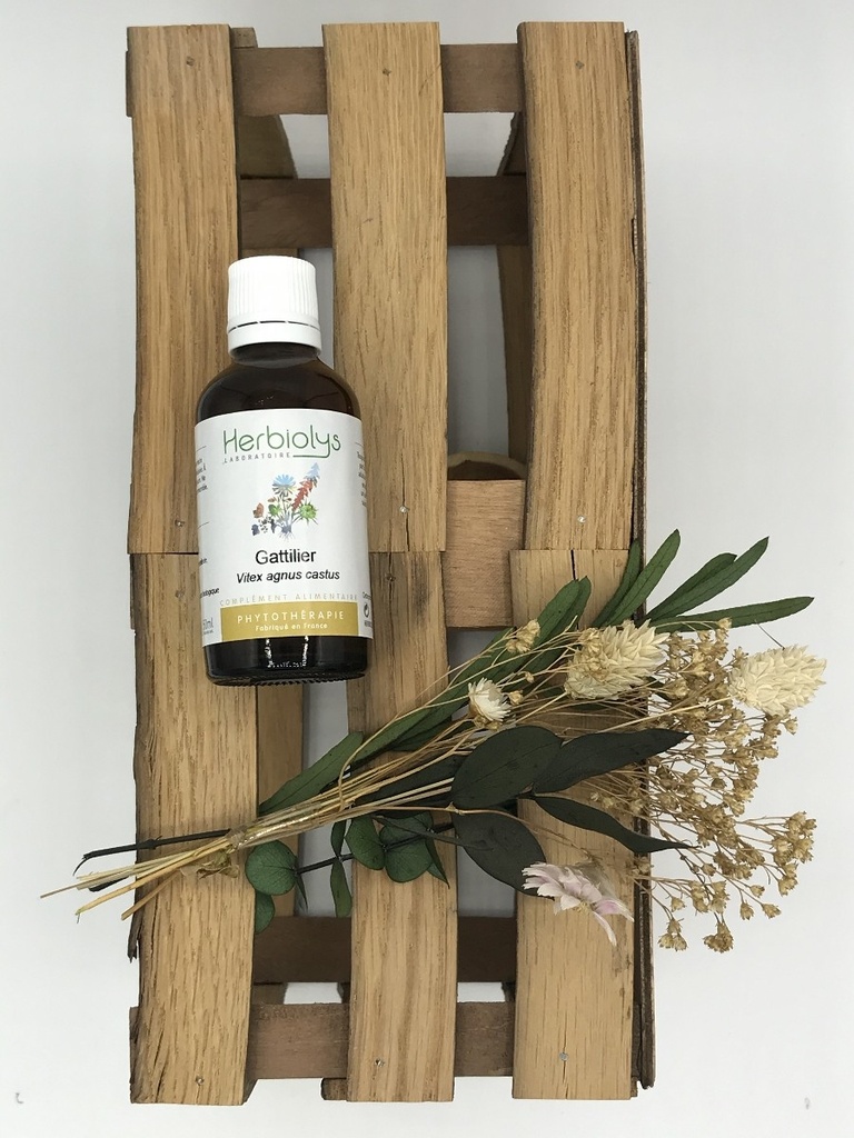 GATTILIER EXTRAIT DE PLANTES BIO 50ML - HERBIOLYS