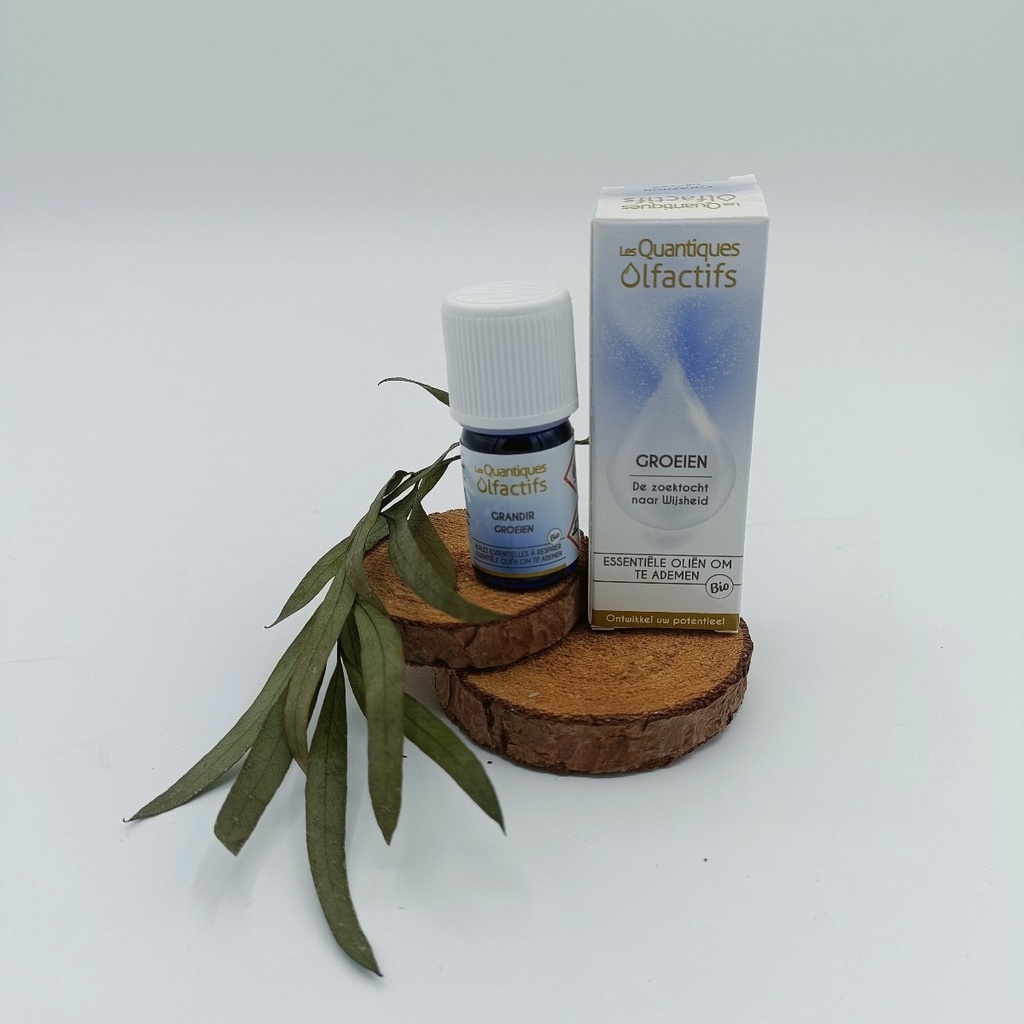 GRANDIR - 5ML - QUANTIQUE OLFACTIF - BIO
