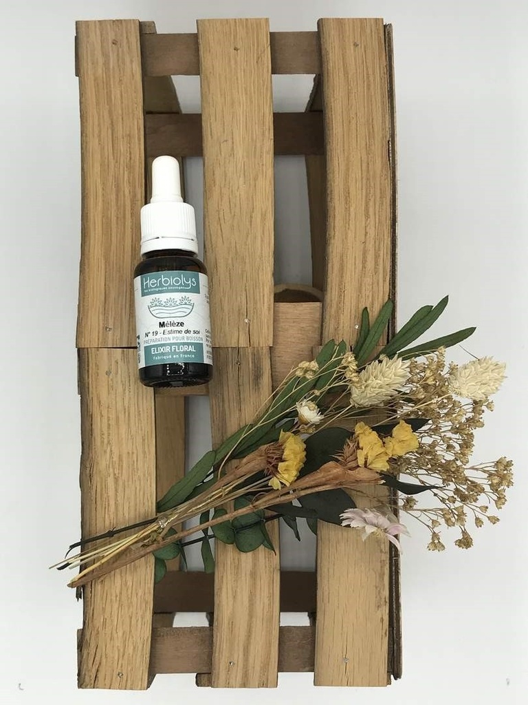 LARCH /MELEZE BIO 15ML - HERBIOLYS
