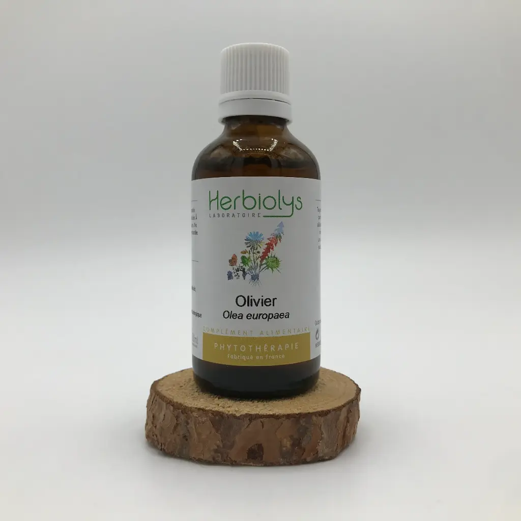 OLIVIER / OLEA EUROPAEA BOURGEONS DE FEUILLES BIO 50ML - HERBIOLYS