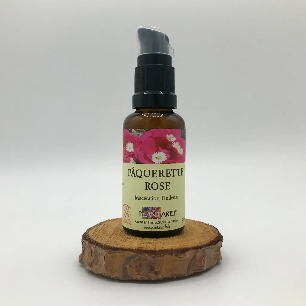 PAQUERETTE ROSE - MACERATION HUILEUSE - 30 ML - PLANTAREE