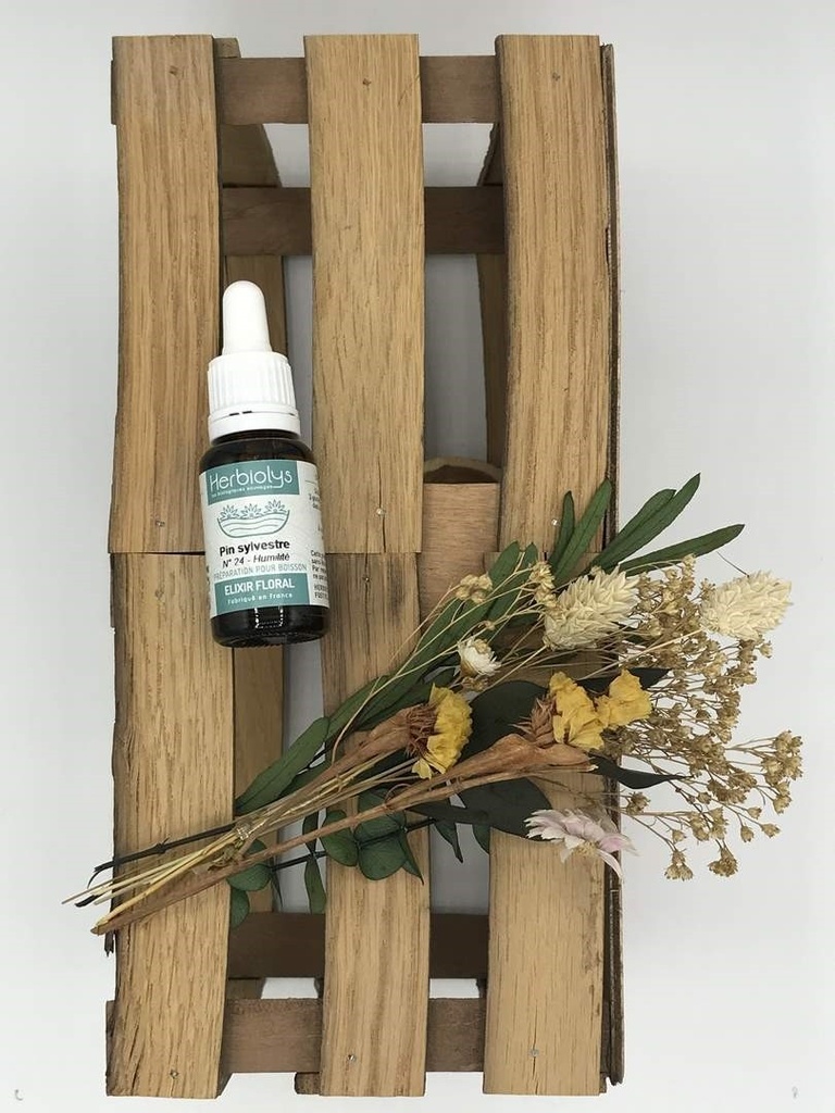PINE /PIN SYLVESTRE BIO - 15ML - HERBIOLYS