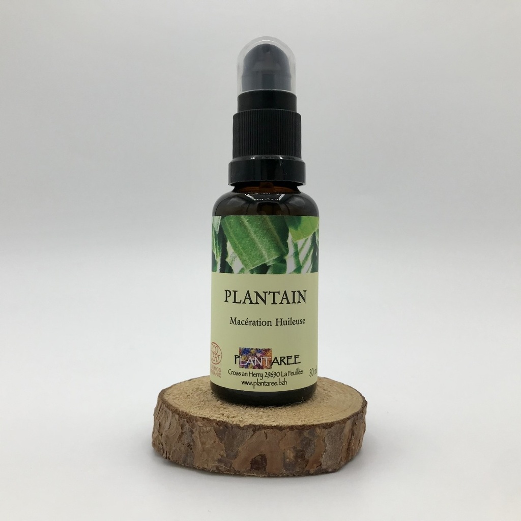 PLANTAIN - MACERATION HUILEUSE - 30 ML - PLANTAREE