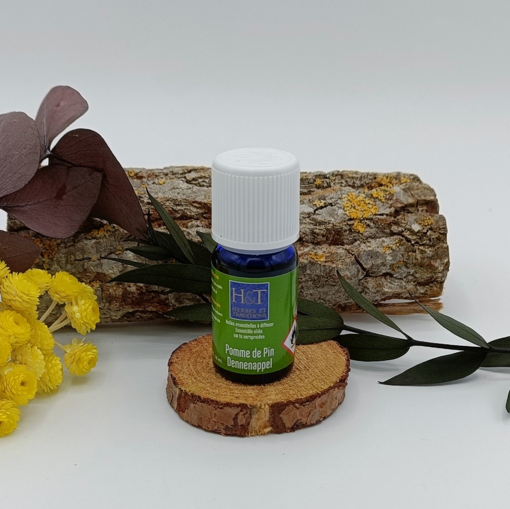 POMME DE PIN SYNERGIE BIO 10ML - Herbes et Traditions