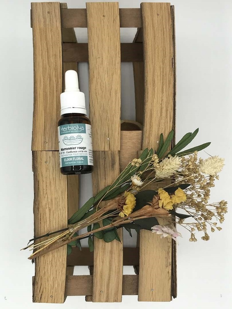 RED CHESNUT /MARRONNIER ROUGE BIO 15ML - HERBIOLYS