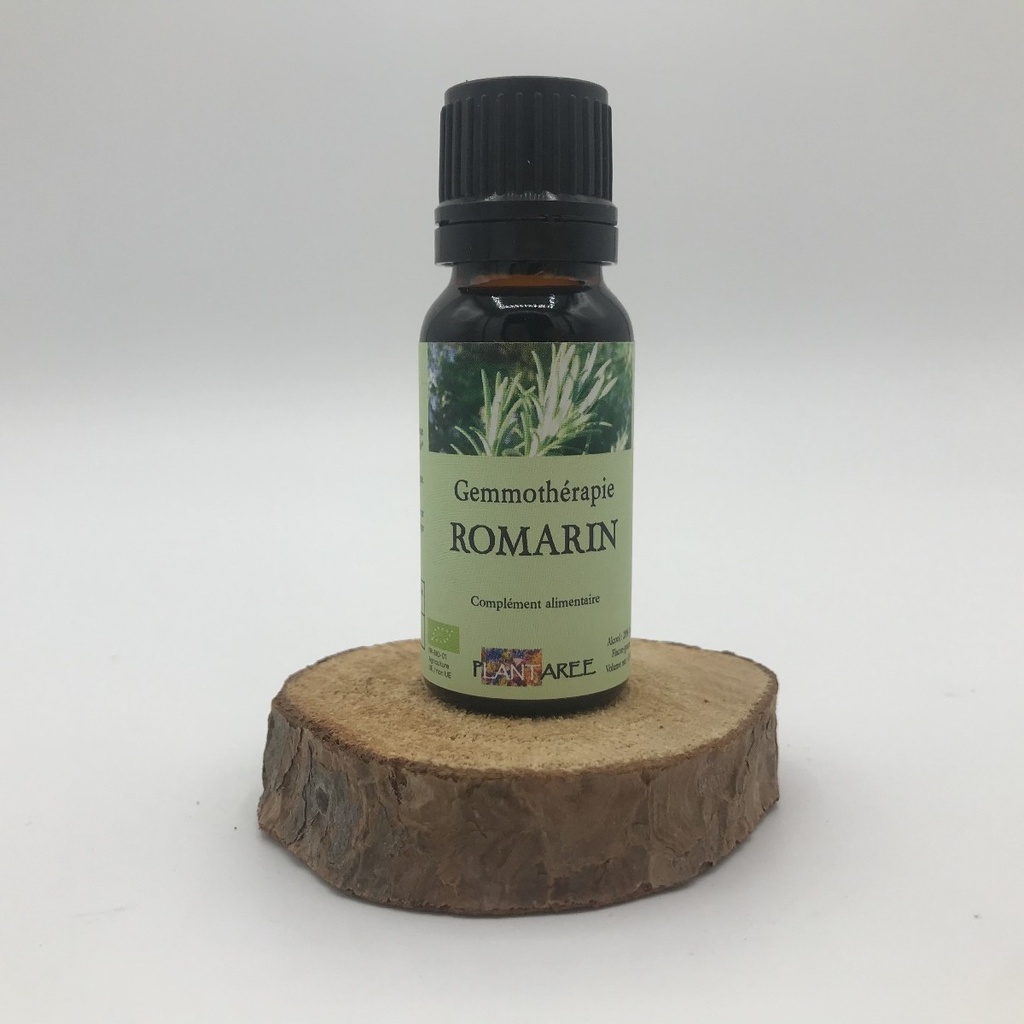 ROMARIN - GEMMOTHERAPIE - 15 ML - PLANTAREE