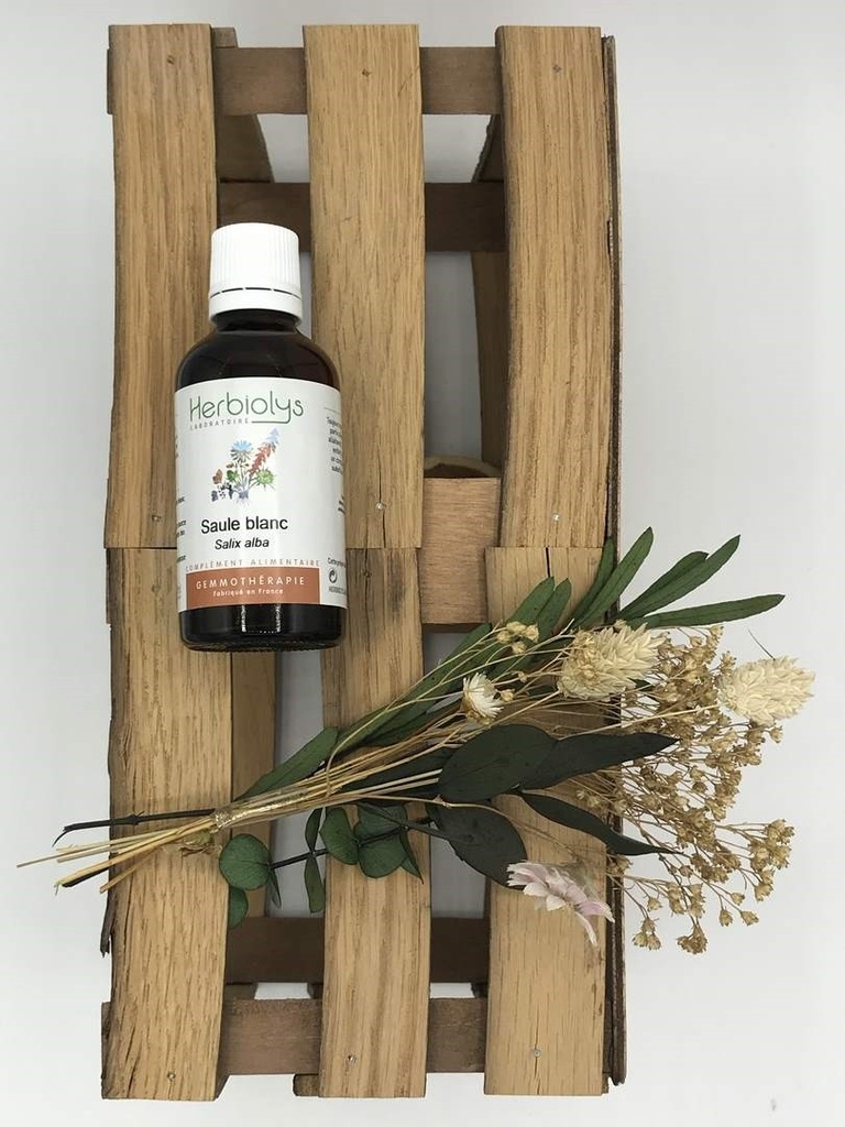 SAULE BLANC / SALIX ALBA - BOURGEONS DE FEUILLES BIO 50 ML - HERBIOLYS