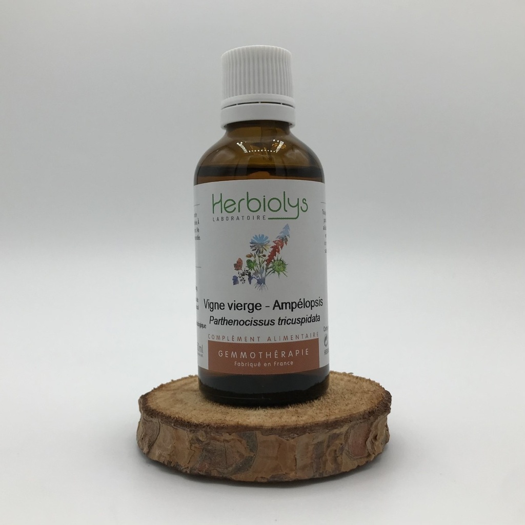 VIGNE VIERGE / AMPELOPSIS - BOURGEONS BIO 50ML HERBIOLYS