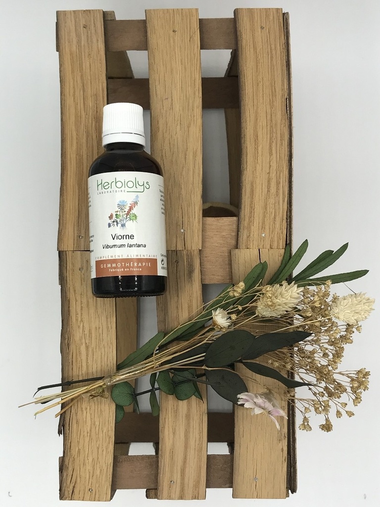 VIORNE / VIBURNUM LANTANA - BOURGEONS DE FEUILLES BIO 50 ML - HERBIOLYS