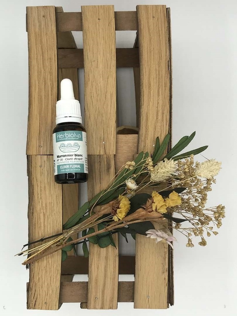 WHITE CHESNUT /MARRONNIER BLANC BIO 15ML - HERBIOLYS