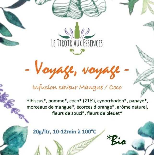 VOYAGE VOYAGE - BIO