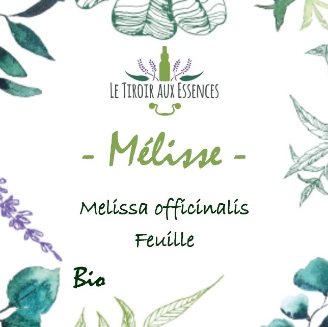 MELISSE (Melissa officinalis) BIO - FEUILLE ENTIERE