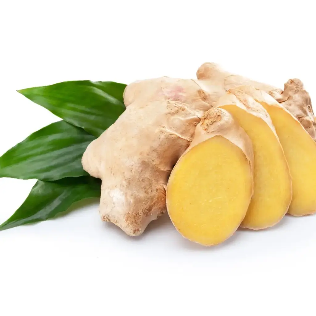 GINGEMBRE (Zingiber officinale) BIO - RHIZOME COUPE