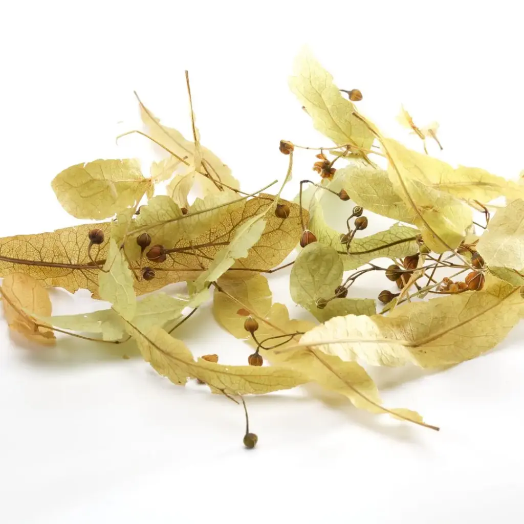 TILLEUL (Tilia platyphyllos) BIO - BRACTEE ENTIERE