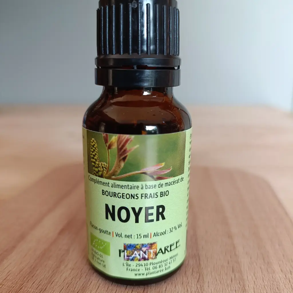 NOYER / JUGLANS REGIA - GEMMOTHERAPIE - 15ML PLANTAREE
