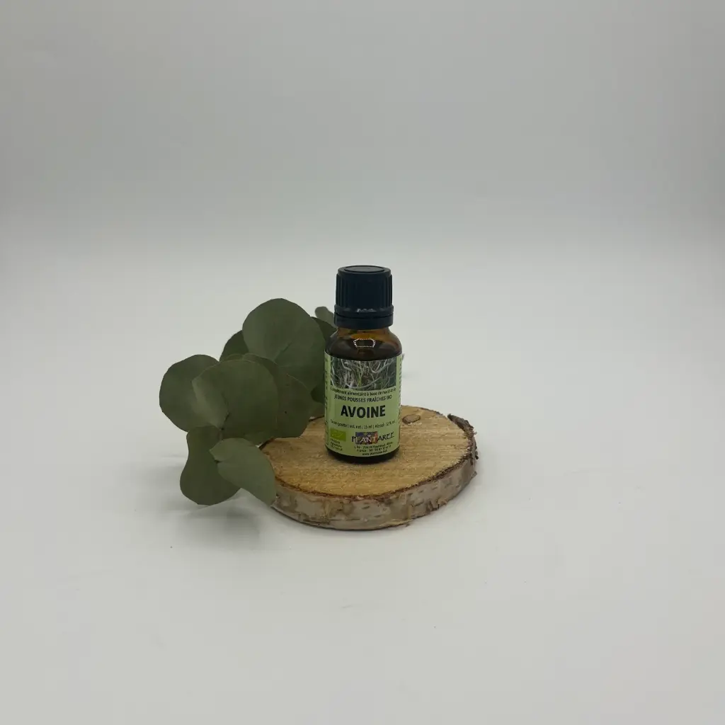 AVOINE / AVENA SATIVA - GEMMOTHERAPIE - 15ML - PLANTAREE