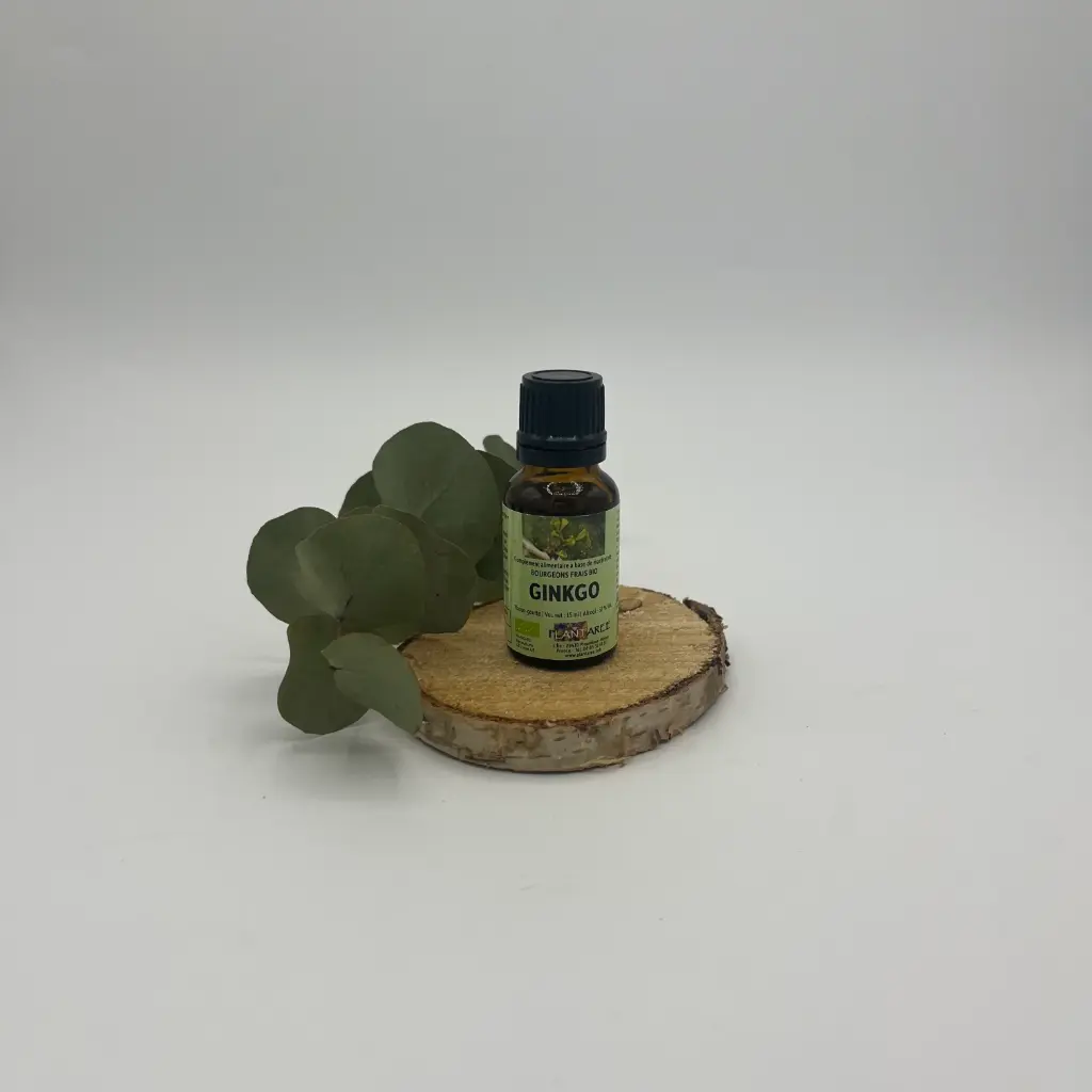 GINKGO / GINKGO BILOBA - GEMMOTHERAPIE - 15ML- PLANTAREE