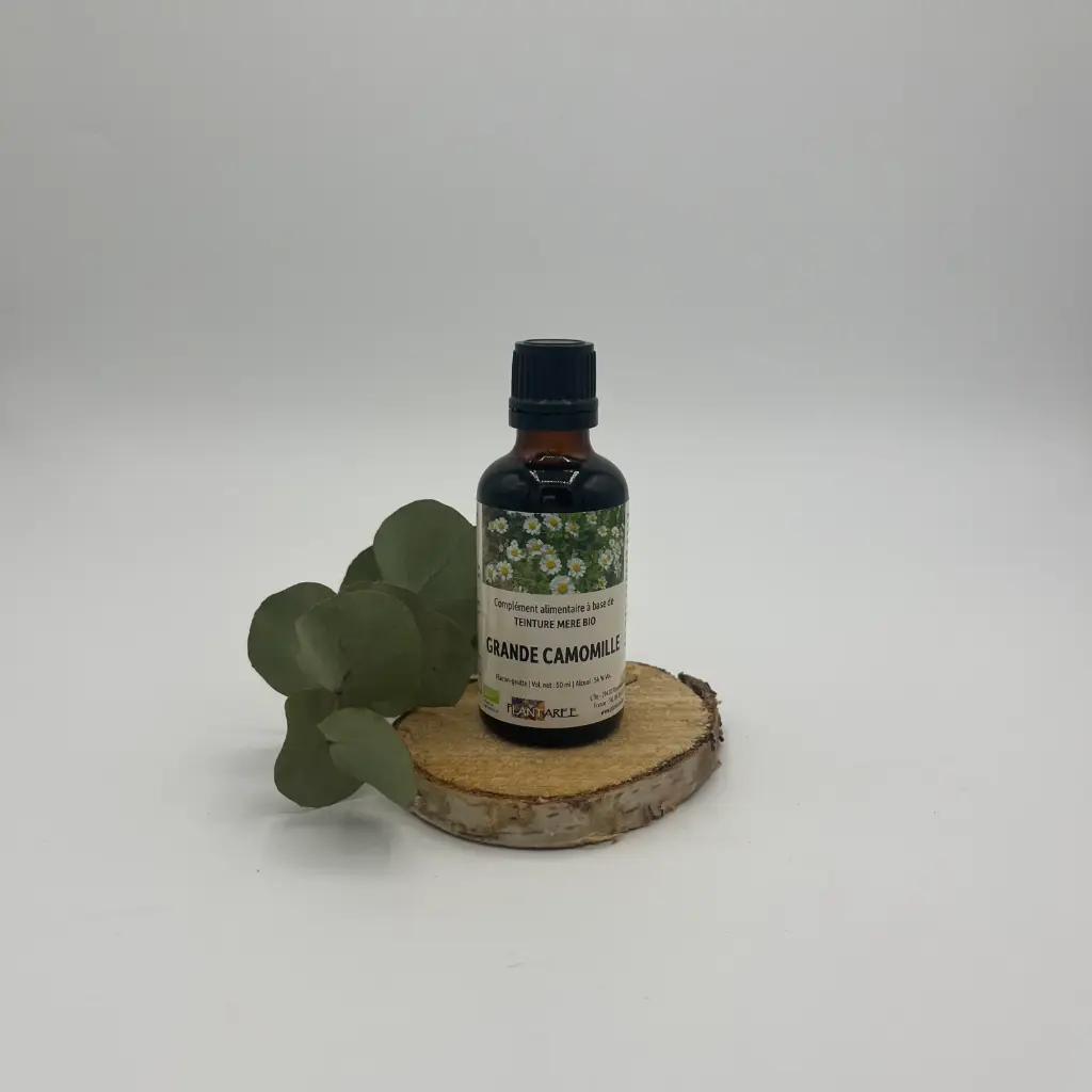GRANDE CAMOMILLE /TANACETUM PARTHENIUM -TEINTURE MERE - 50ML - PLANTAREE