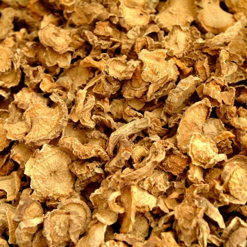 HARPAGOPHYTUM (Harpagophytum procubens) BIO - Racines coupées- VRAC