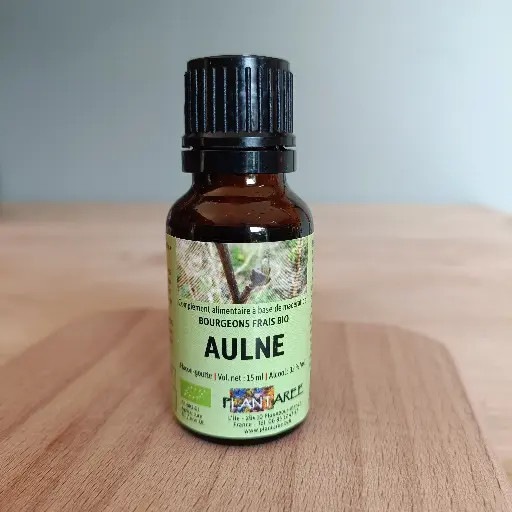AULNE / ALNUS GLUTINOSA - GEMMOTHERAPIE -15 ML - PLANTAREE
