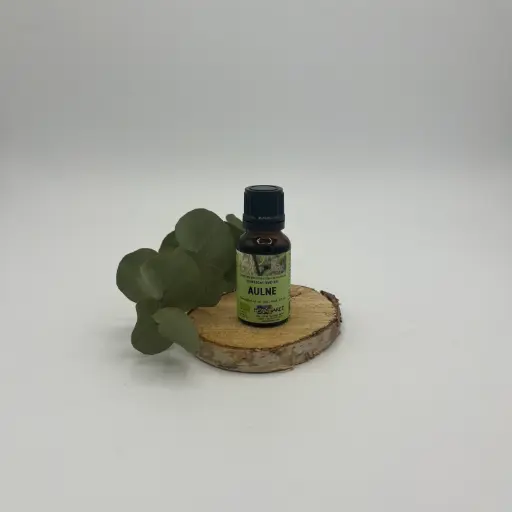AULNE / ALNUS GLUTINOSA - GEMMOTHERAPIE -15 ML - PLANTAREE