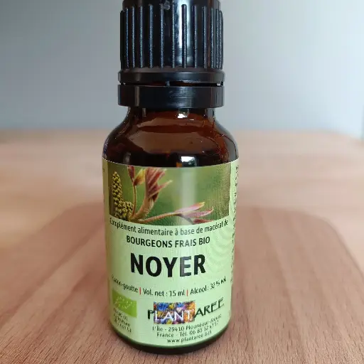 NOYER / JUGLANS REGIA - GEMMOTHERAPIE - 15ML PLANTAREE