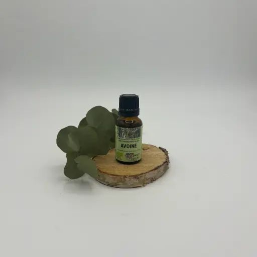 AVOINE / AVENA SATIVA - GEMMOTHERAPIE - 15ML - PLANTAREE