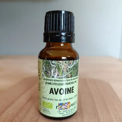 AVOINE / AVENA SATIVA - GEMMOTHERAPIE - 15ML - PLANTAREE