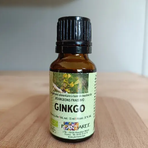 GINKGO / GINKGO BILOBA - GEMMOTHERAPIE - 15ML- PLANTAREE