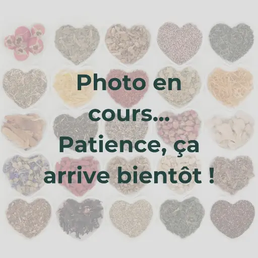 MENO + SANS PHYTOOESTROGENES  - 60 GELULES VEGETALES - VIT ALL + 