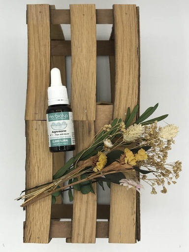 AGRIMONY /AIGREMOINE BIO 15ML - HERBIOLYS