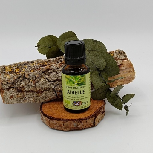 AIRELLE - GEMMOTHERAPIE - 15 ML - PLANTAREE