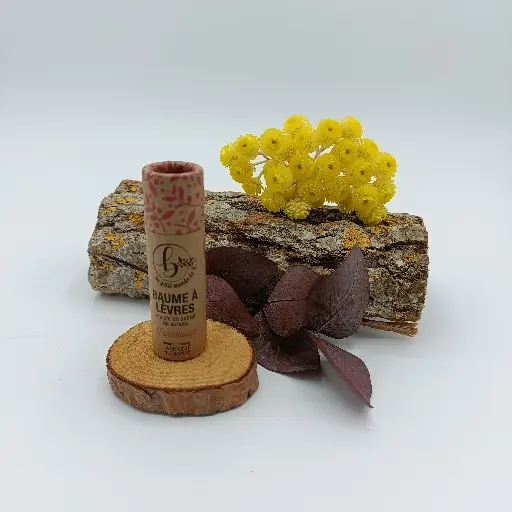 BAUME A LEVRES - FRAMBOISE - BIO - 10G - AU PETIT MONDE DE B.