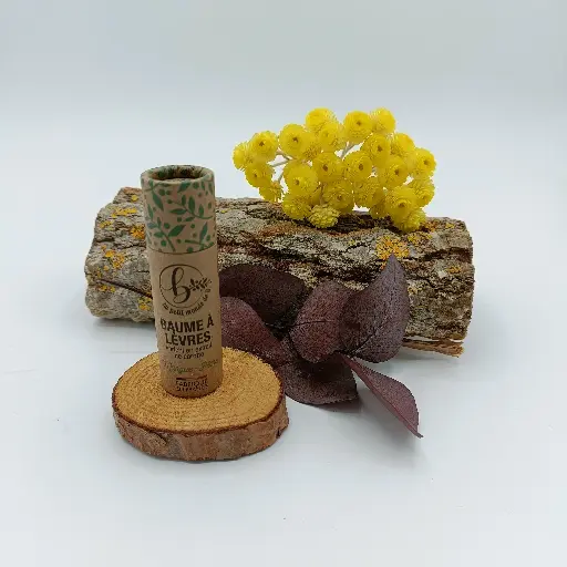 BAUME A LEVRES - MANGUE PECHE - BIO - 10G - AU PETIT MONDE DE B.