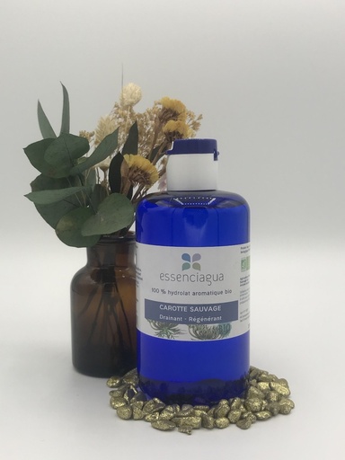 CAROTTE SAUVAGE HYDROLAT BIO 250ML ESSENCIAGUA