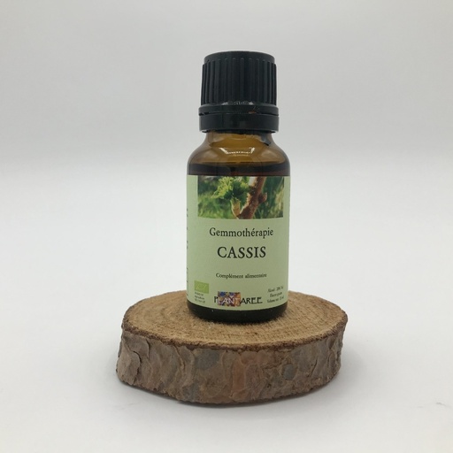 CASSIS - GEMMOTHERAPIE - 15 ML - PLANTAREE