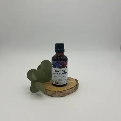 CASSIS PLANTAIN - MACERATION HYDRO ALCOOLIQUE - 50 ML - PLANTAREE