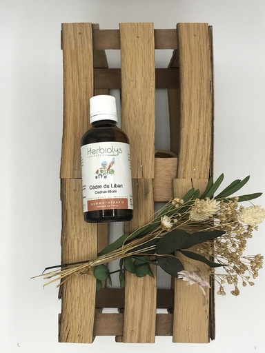 CEDRE LIBAN / CEDRUS LIBANI - BOURGEONS BIO 50ML - HERBIOLYS