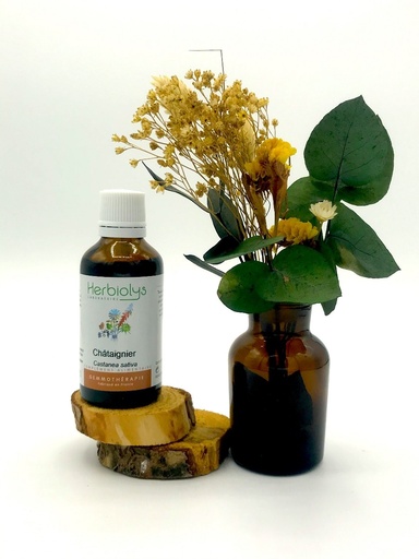 CHATAIGNIER/ CASTANEA SATIVA - BOURGEONS BIO 50ML - HERBIOLYS