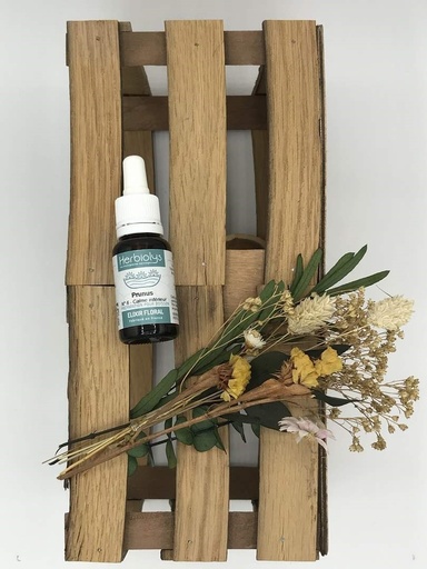 CHERRY PLUM /PRUNUS BIO 15ML - HERBIOLYS