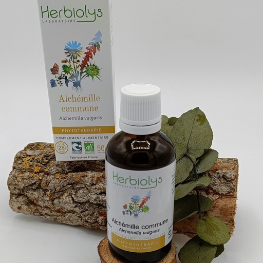 EXTR. ALCHEMILLE COMMUNE PLANTE FRAICHE BIO 50ML - HERBIOLYS