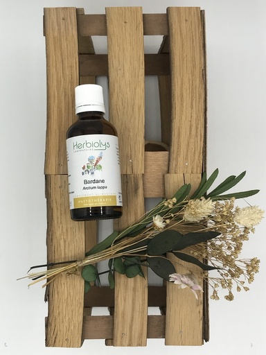 EXTR. BARDANE PLANTE FRAICHE BIO 50ML - HERBIOLYS