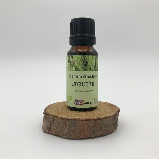 FIGUIER - GEMMOTHERAPIE - 15 ML - PLANTAREE