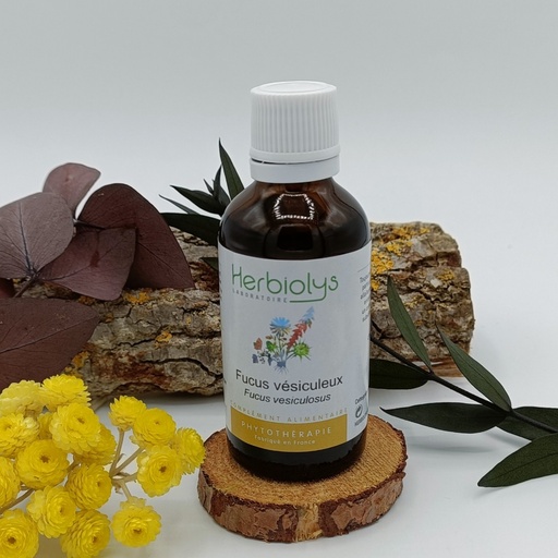 FUCUS VESICULEUX EXTRAIT DE PLANTES BIO 50ML - HERBIOLYS