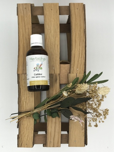 GATTILIER EXTRAIT DE PLANTES BIO 50ML - HERBIOLYS