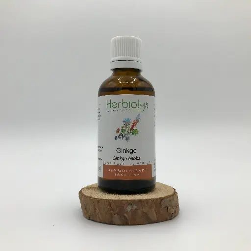 GINKGO / GINKGO BILOBA - BOURGEONS BIO 50ML HERBIOLYS